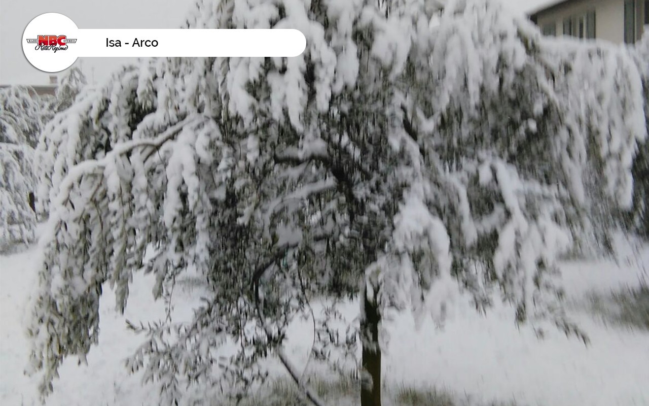 Isa – Arco
