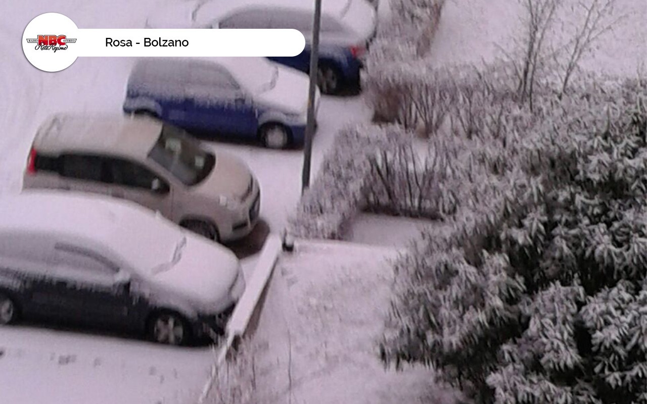 Rosa – Bolzano