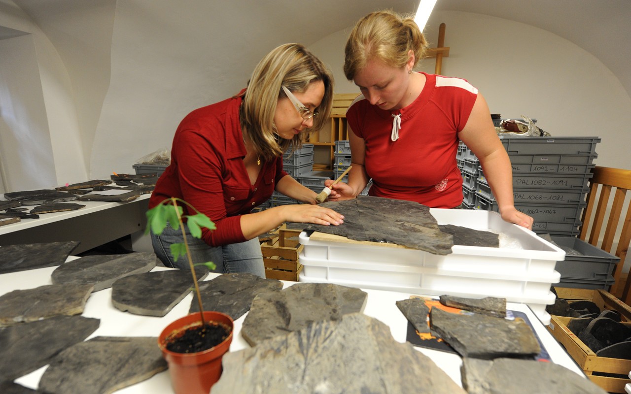 Museo di Scienze Naturali dell’Alto Adige, ricercatrici al lavoro