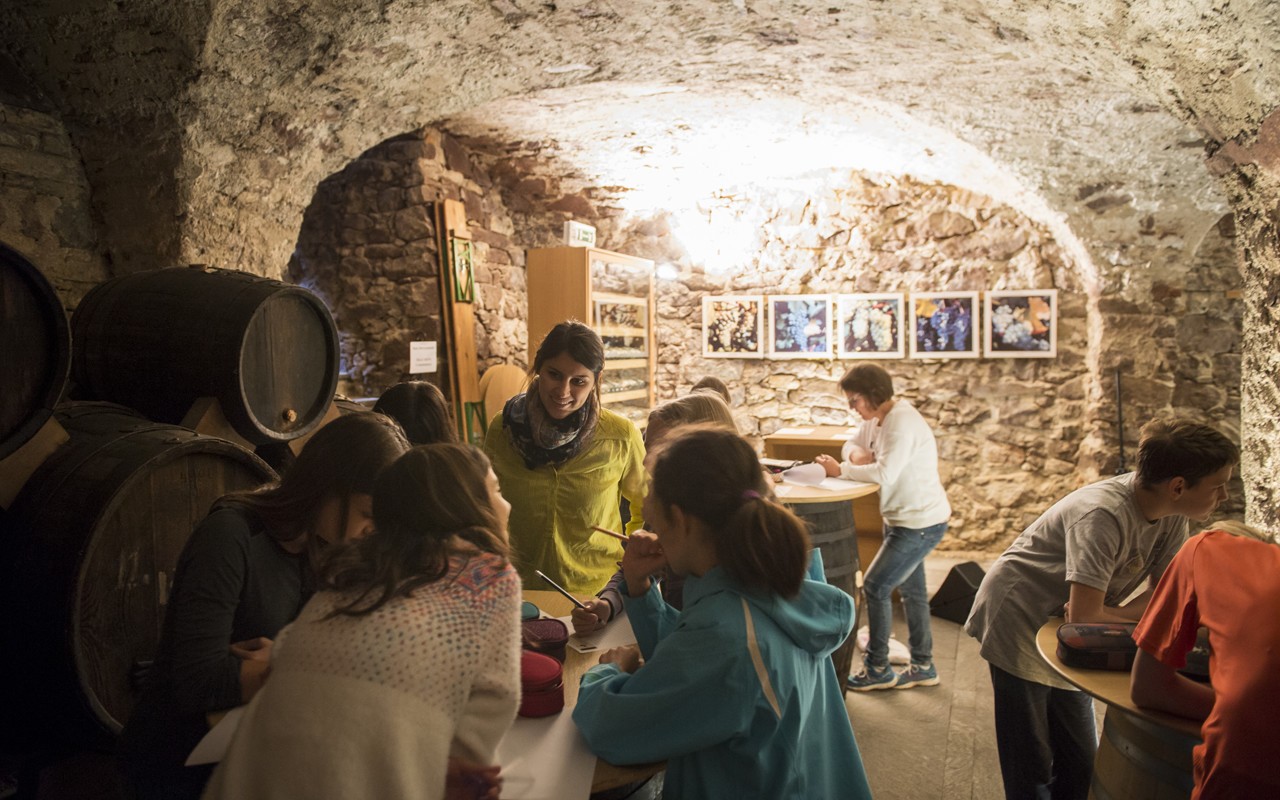 Museo provinciale del vino Foto Alexander Filz