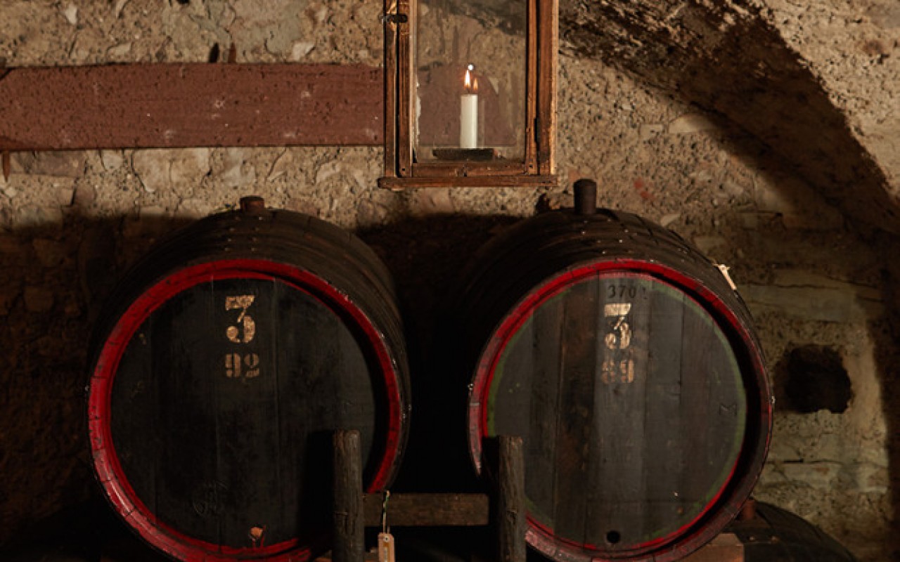 Museo provinciale del vino Foto Hermann Maria Gasser