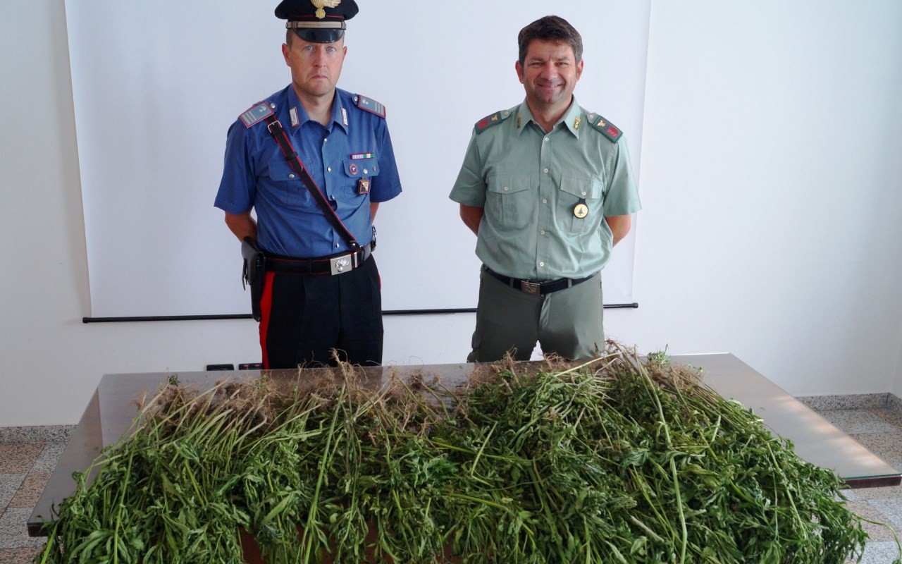 20170630 PERCA-BRUNICO(BOLZANO) SEQUESTRO MARIJUANA DI CARABINIERI E FORESTALI