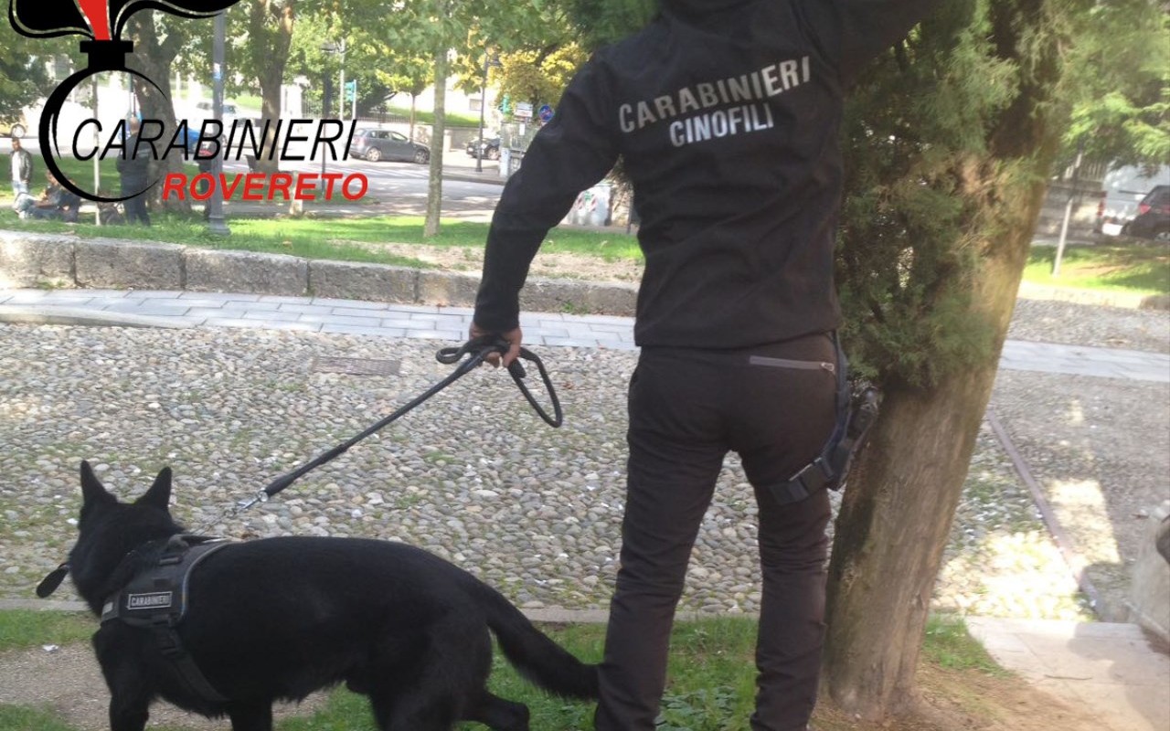carab rovereto due