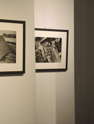 Open Day Centro Culturale Trevi