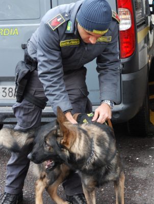 polizia droga due