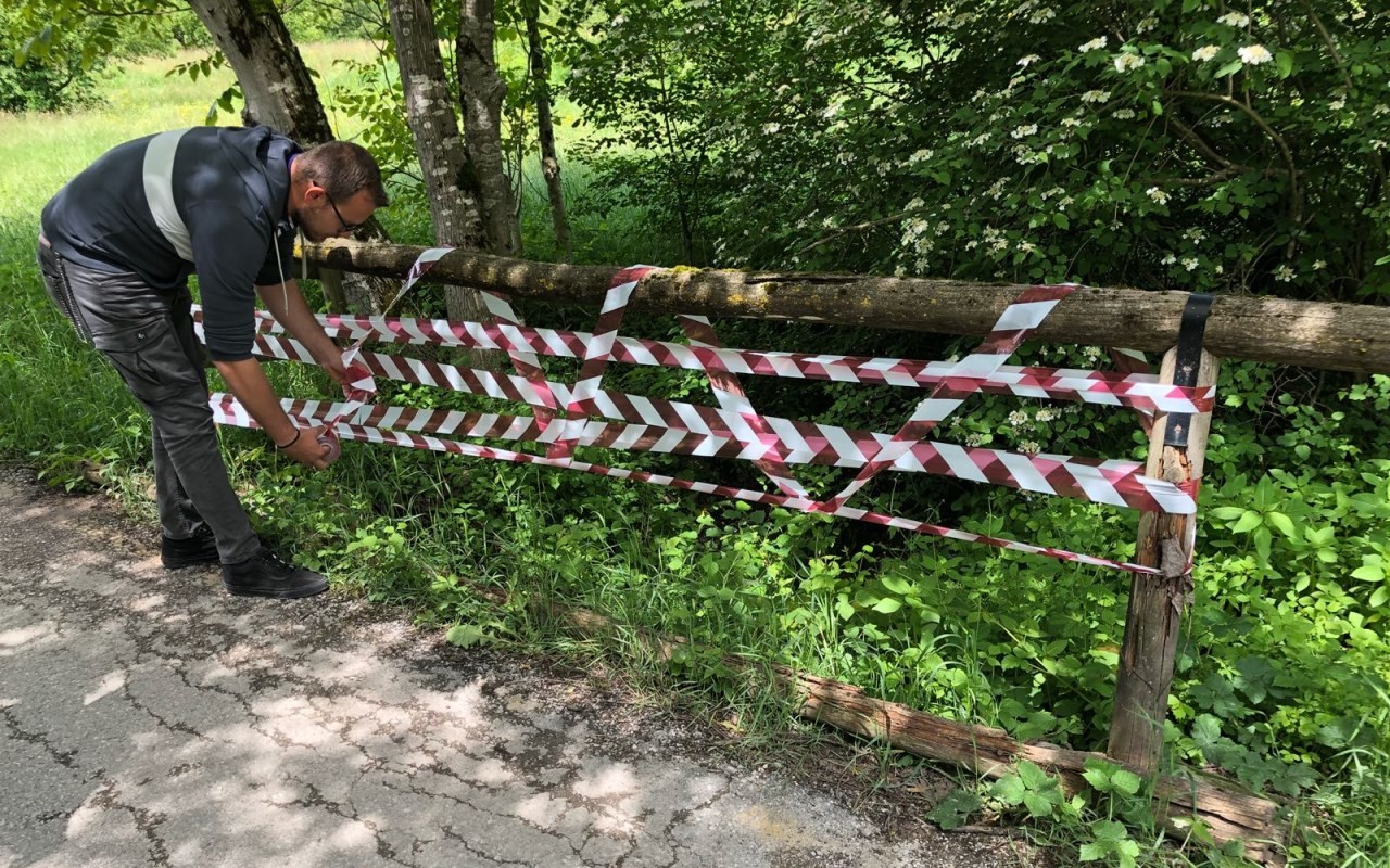 WhatsApp Image 2018-05-21 at 12.25.10._rsz