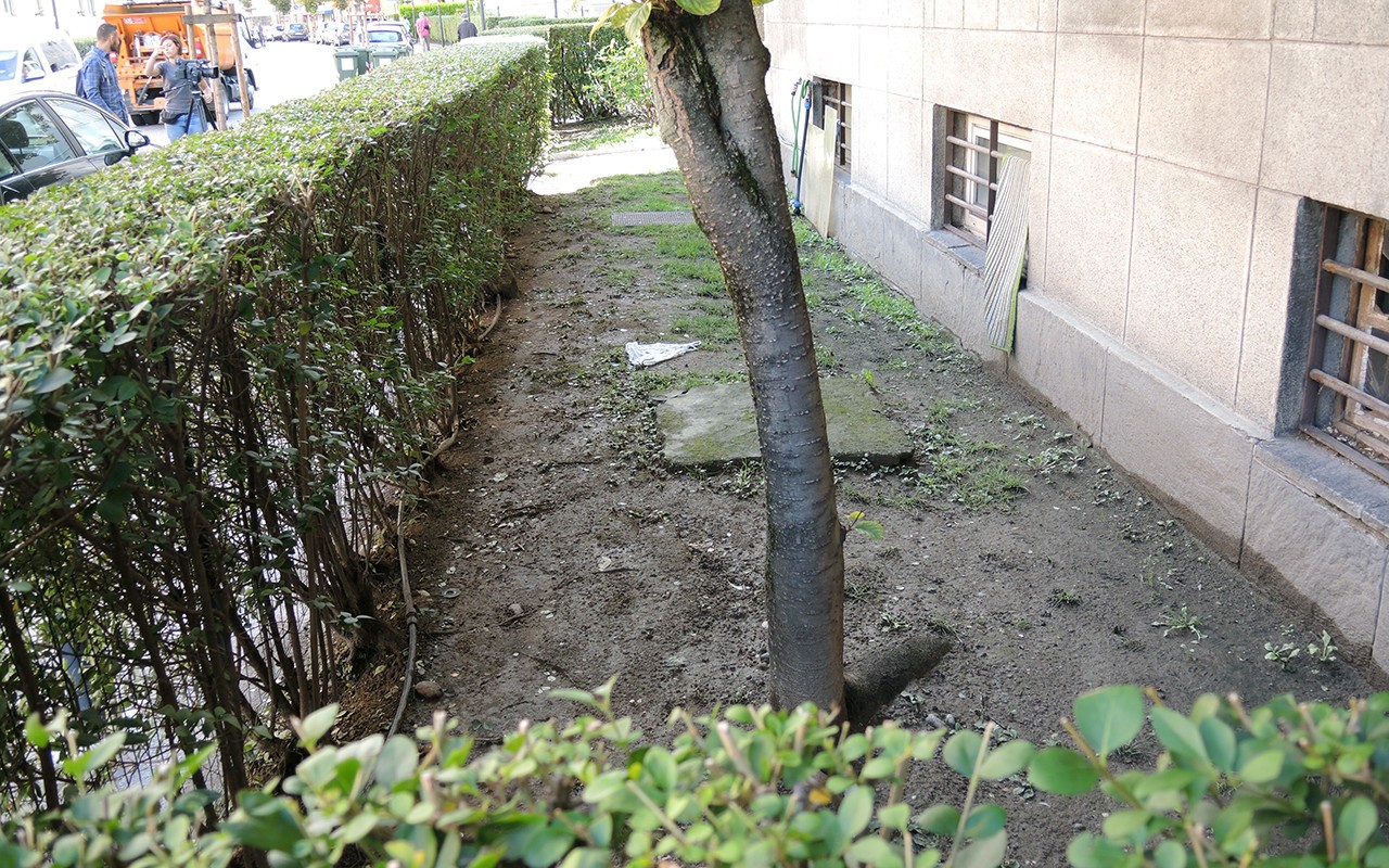 Donna Trovata Morta Giallo Via Firenze – 1