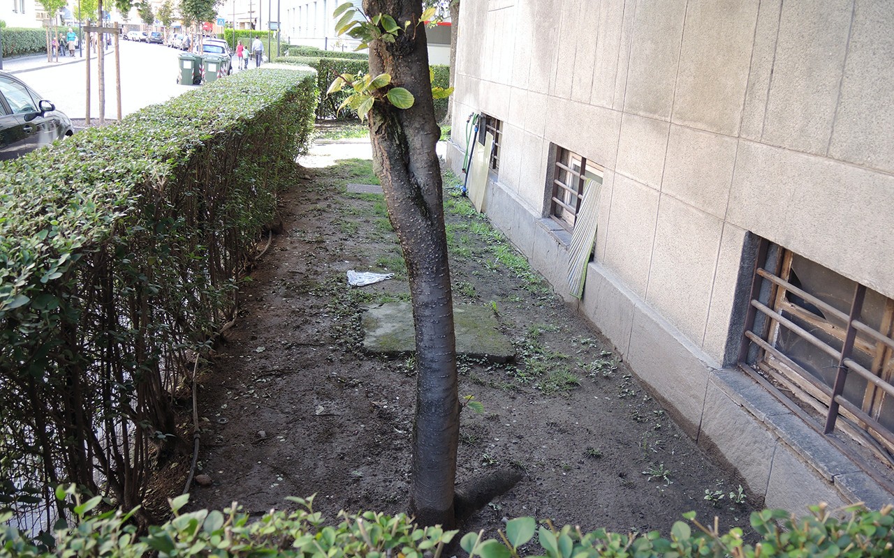 Donna Trovata Morta Giallo Via Firenze – 10