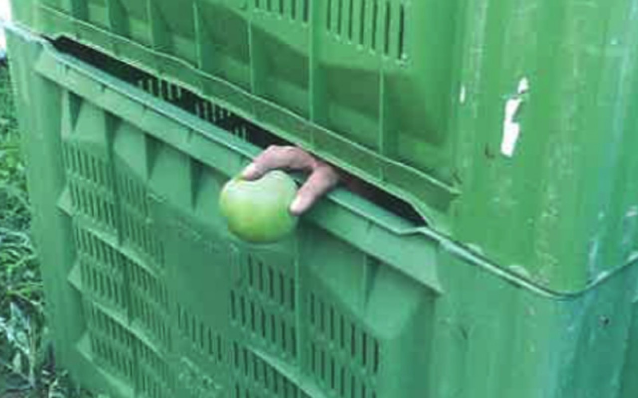 Sommacampagna Segregata Campo di Mele – 1