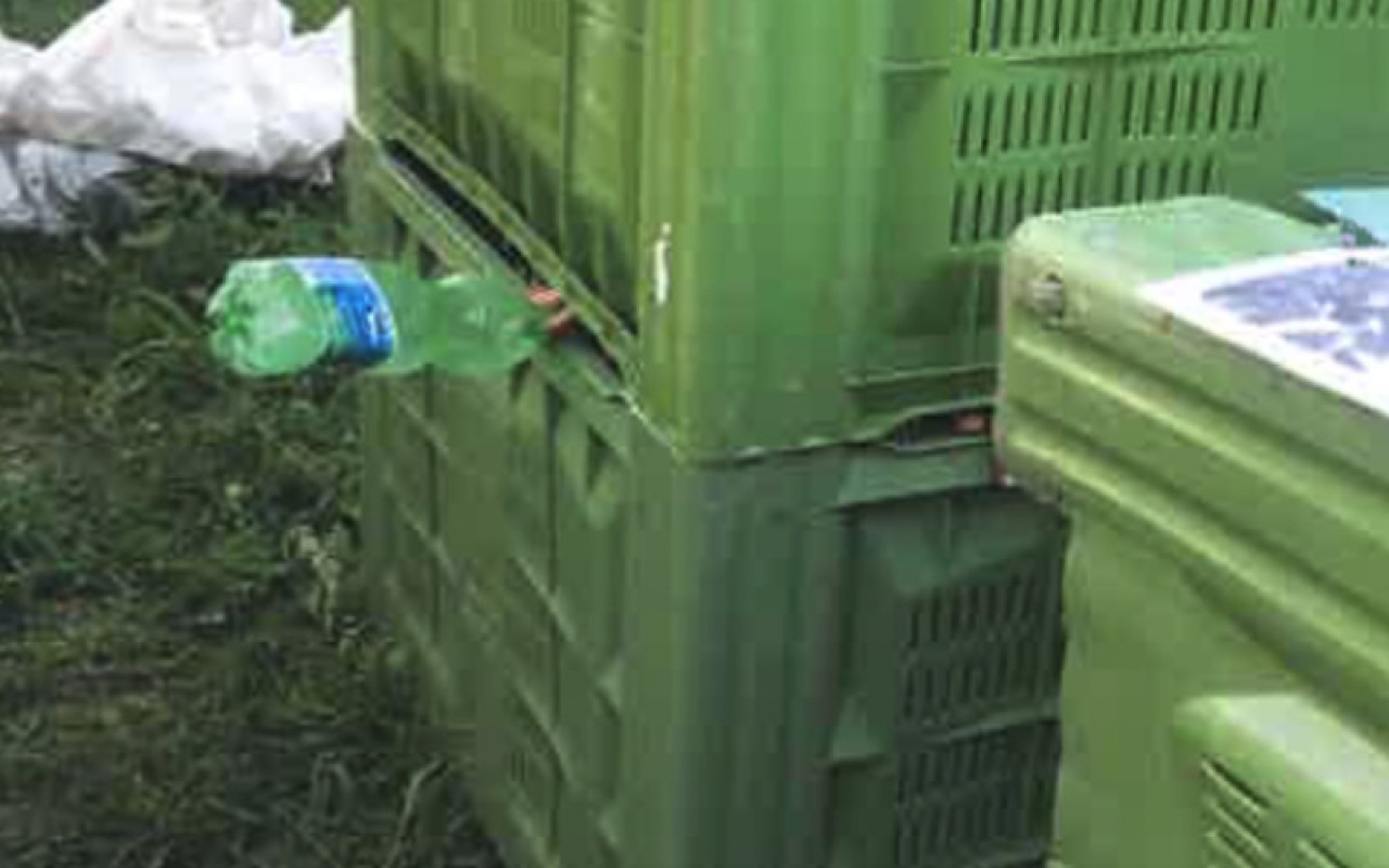 Sommacampagna Segregata Campo di Mele – 2