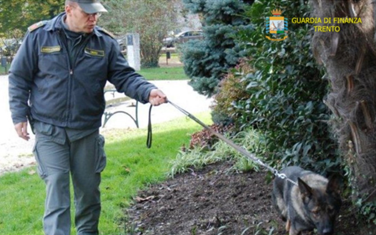 Controlli parco 3_rsz