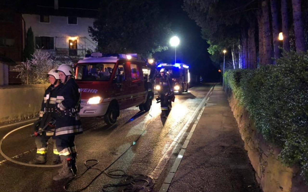 56515028_1290030074486304_5258917180249997312_n