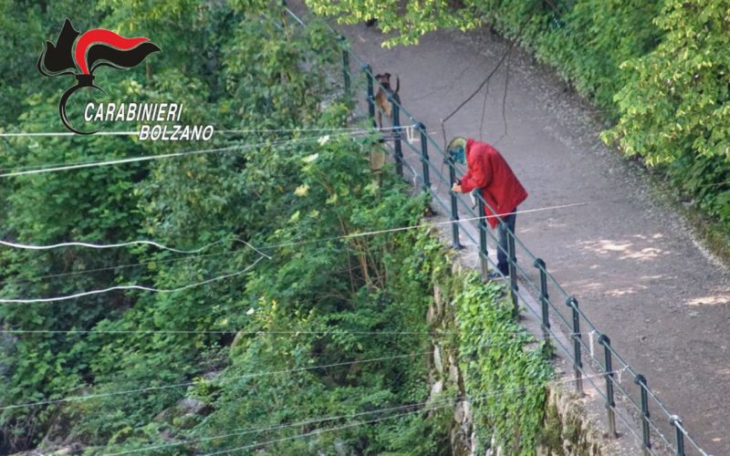MERANO, TROVATA MORTA UNA ANZIANA DONNA SUL SENTIERO TAPPEINER