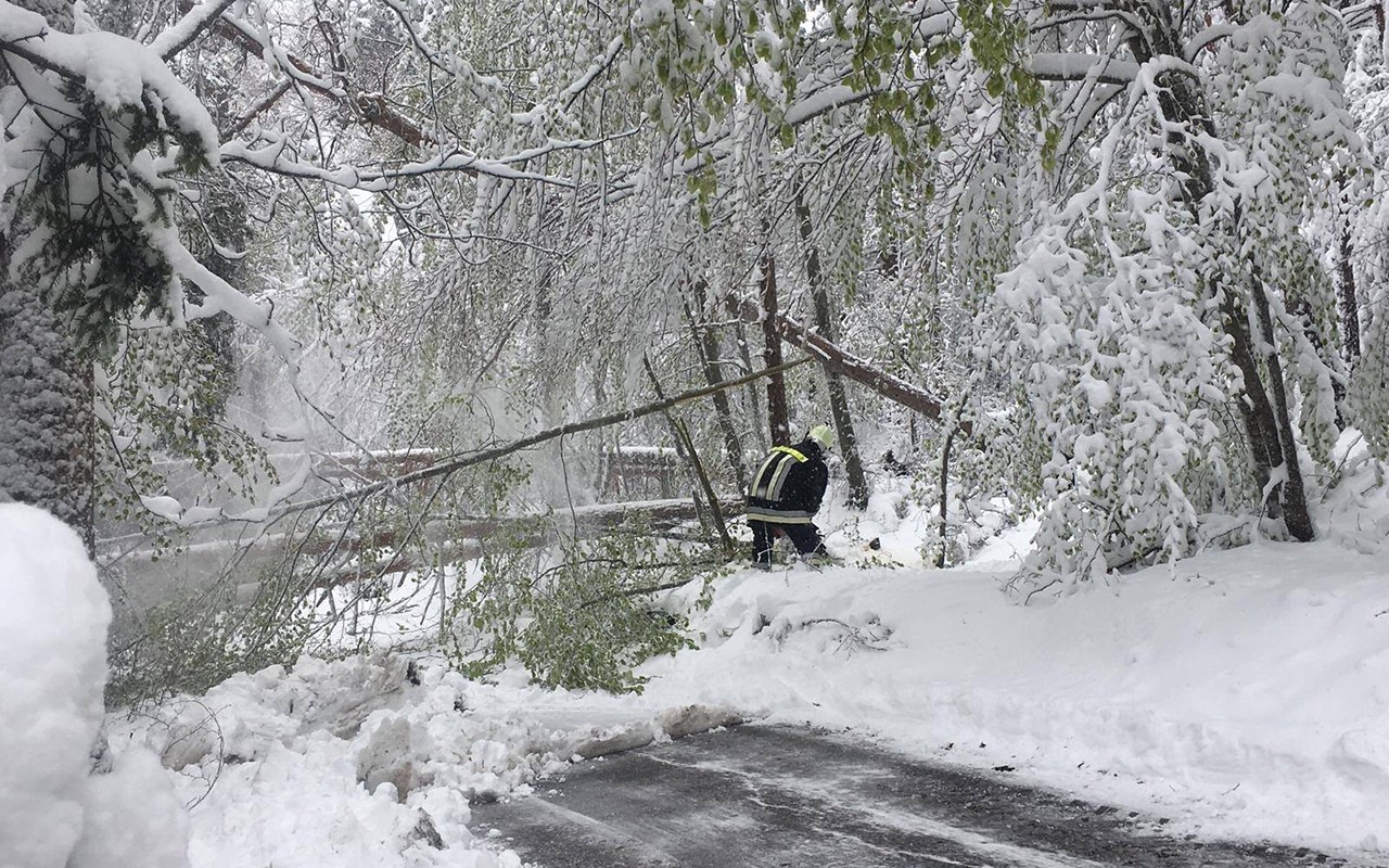 Vigili del Fuoco – Neve Maggio 9
