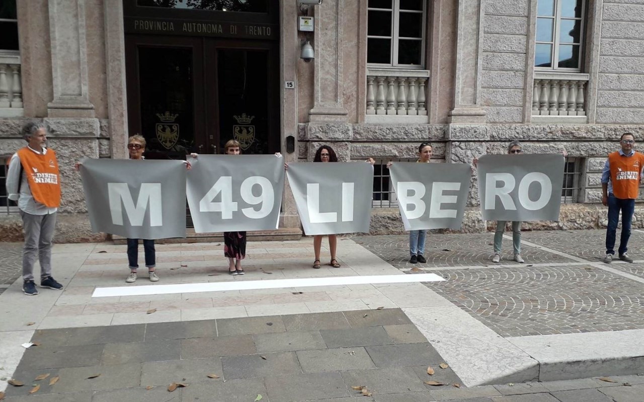 65473356_355219375186711_1900807990970155008_n