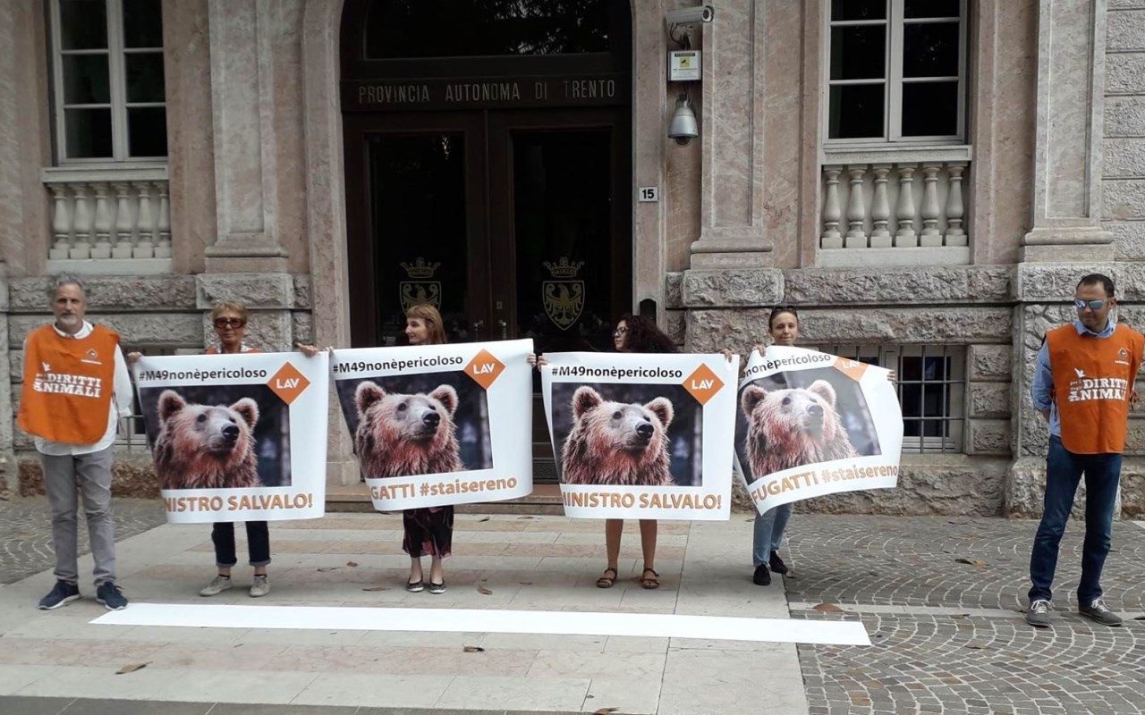 65485710_304335303650226_5749234675440680960_n