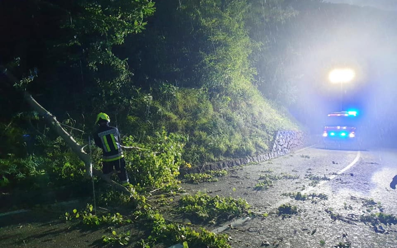 67187056_2251506718269983_1490172803524067328_n