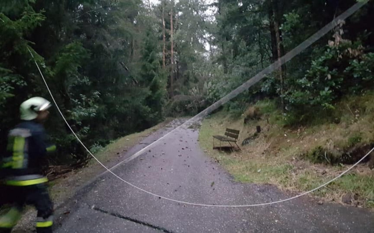 67235273_491345624758345_3041176001955495936_n