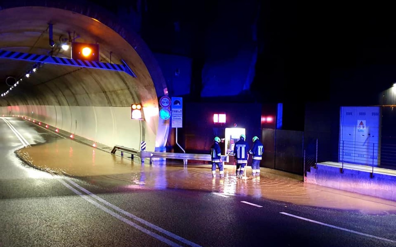 67248251_2251506744936647_6922571052958613504_n