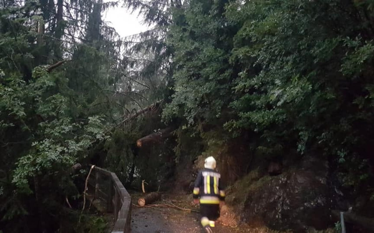 67331227_491345654758342_6804536671535628288_n