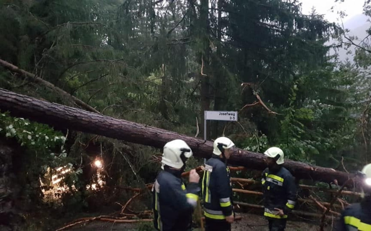 67524499_491345758091665_4100570423278698496_n