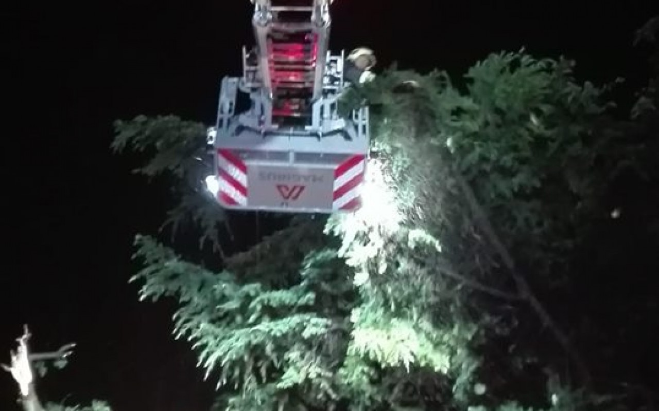 67565700_1284216491736730_9008749265488445440_n