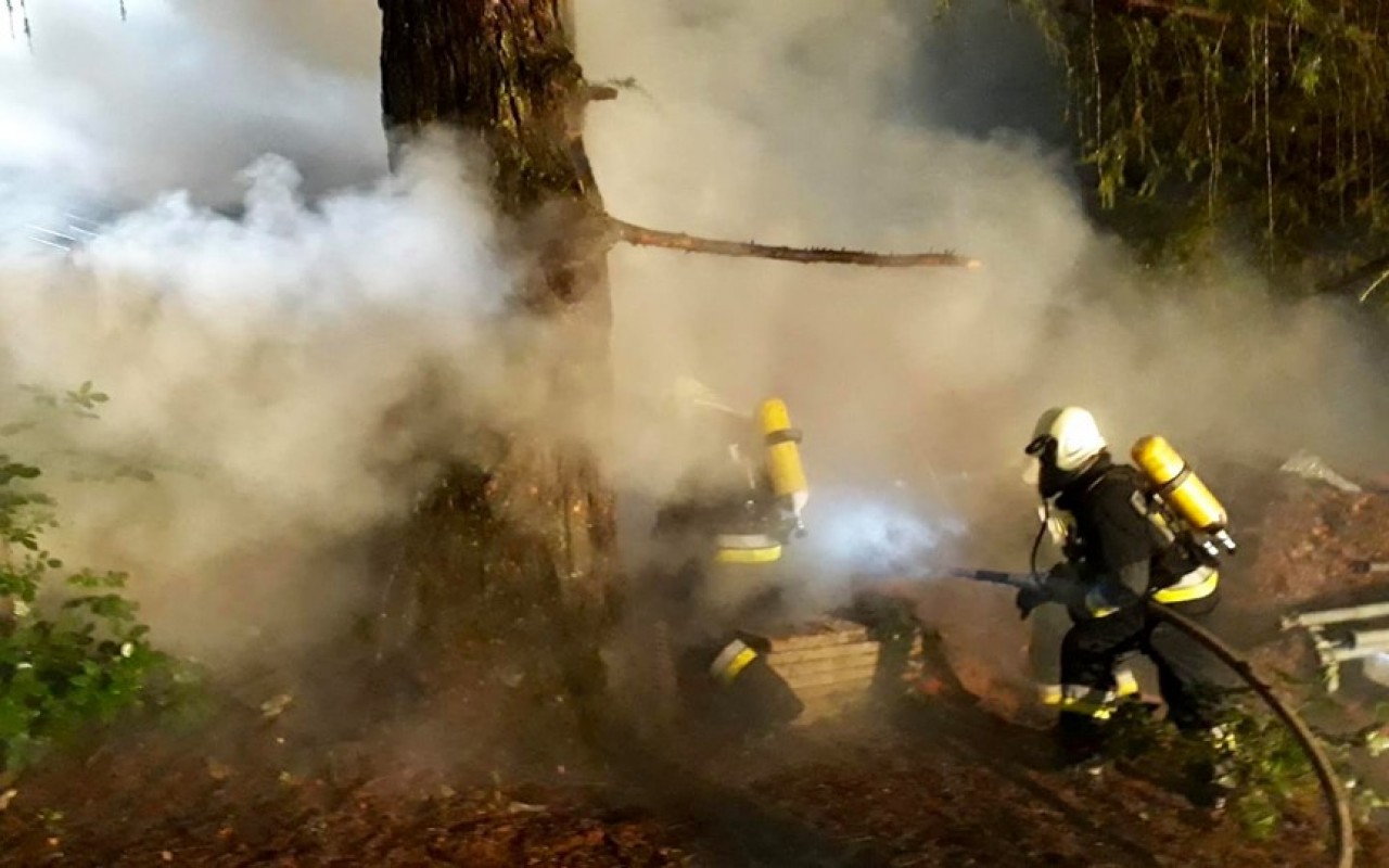 67774396_2455395731187124_8370864540912451584_n