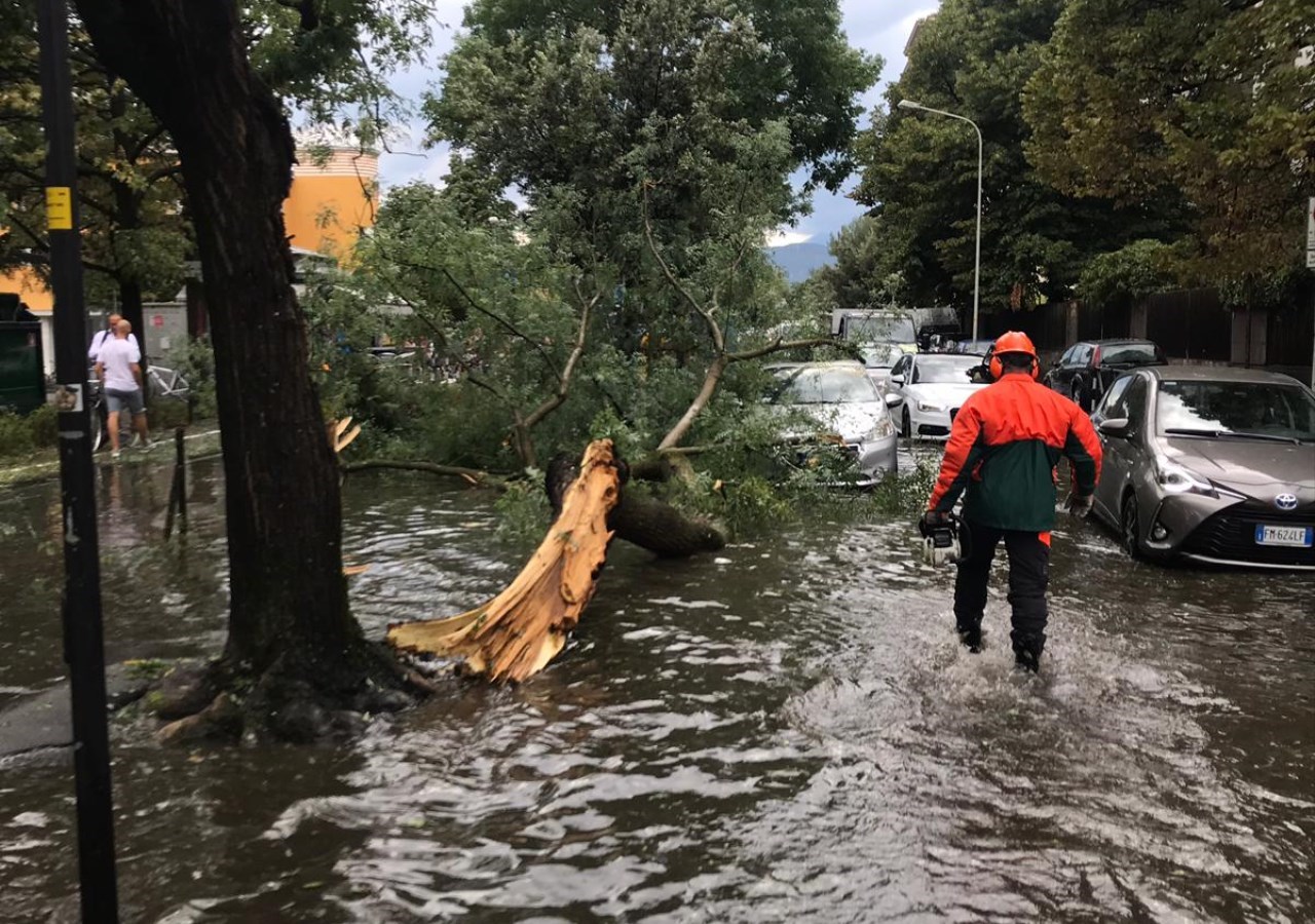 1038658_Einsatz_Trieststrasse