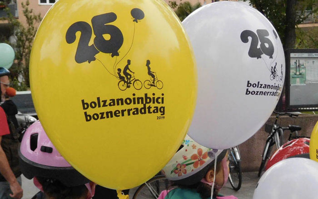 70634842_1421616534653909_7144754006147989504_n