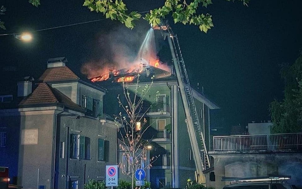 70753687_3124660887575528_865674151979909120_n