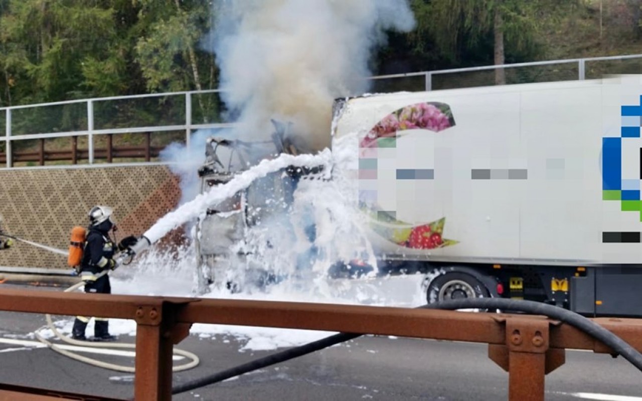 72198838_2580897778636918_1338335758171242496_n