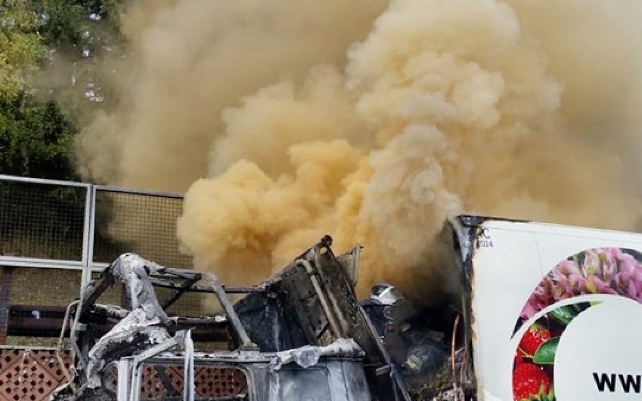 72890551_2580897638636932_3949961313370767360_n