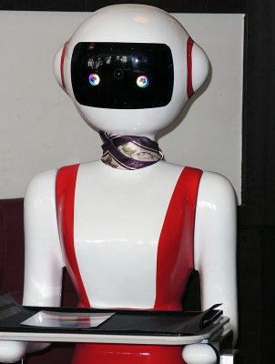 Camerieri Robot 6