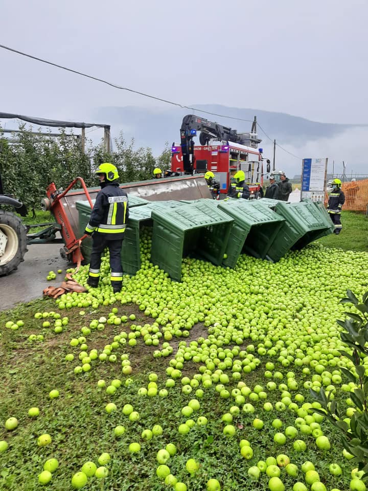 120640071_3338812409538244_22081049423576588_n