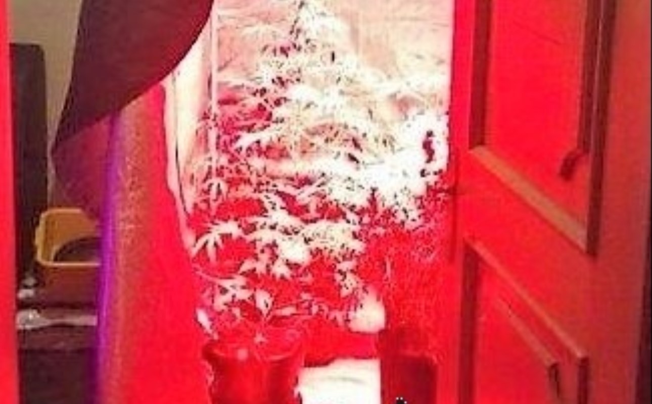 serra_domestica_Brunico