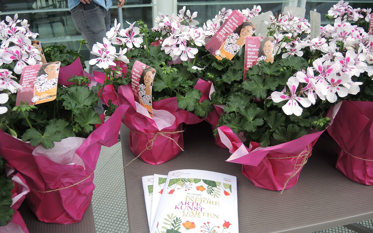 Bolzano-in-Arte-Fiore-14