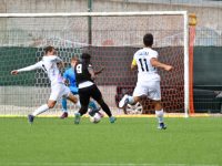 Virtus Bolzano-Dolomiti Bellunesi (foto Giuseppe De Zanet)