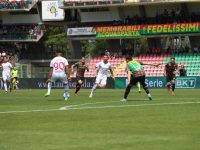 32392f3a-8f4d-4bda-921f-6c95ed624c6c