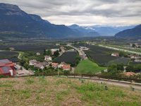 WhatsApp Image 2023-08-02 at 15.37.50