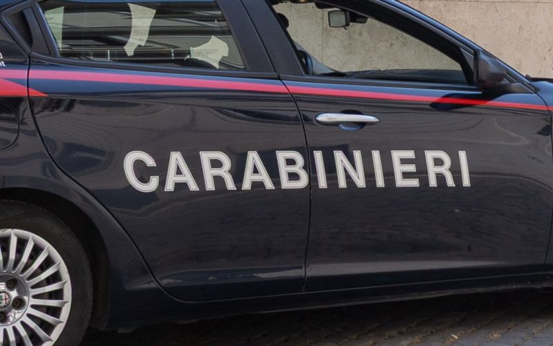 FURTI IN ABITAZIONE IN VAL DI NON E VAL DI SOLE: UN ARRESTO