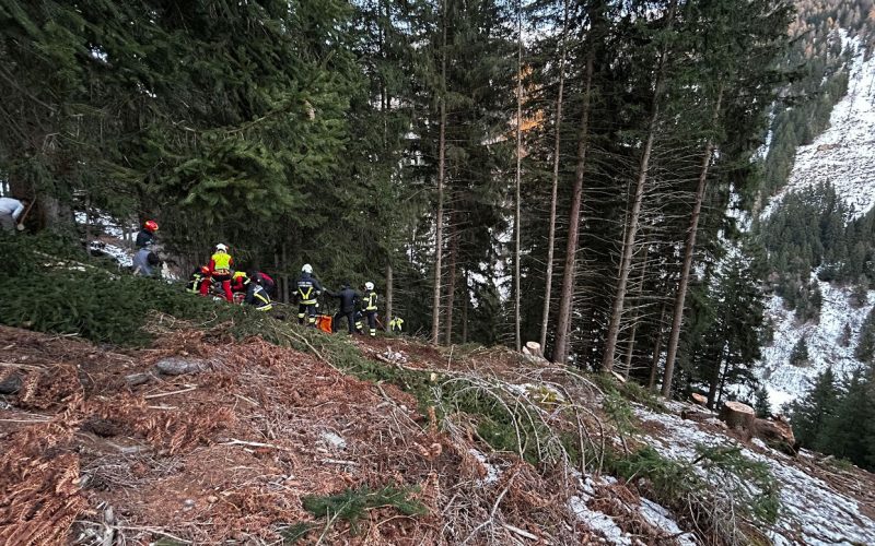 PEJO, BOSCAIOLO COLPITO DA UN TRONCO
