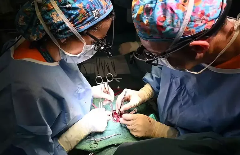 TRAPIANTO FALLITO, UN OSS DEL SAN MAURIZIO SENTITO DAGLI INQUIRENTI