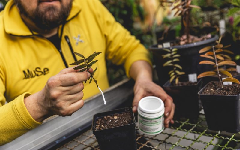 TRENTO, DETENUTI AL LAVORO AL MUSE