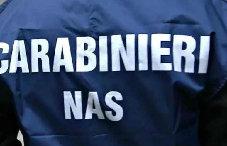 MAXI OPERAZIONE DEI CARABINIERI CONTRO FITOSANITARI ILLEGALI