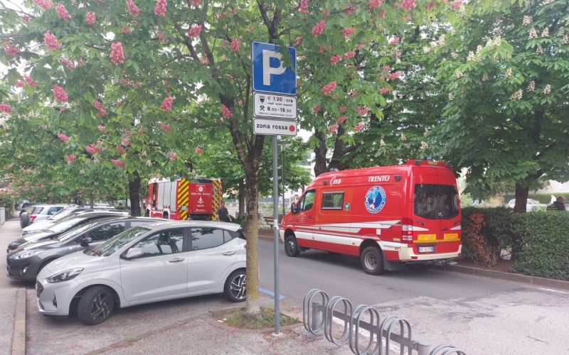 TRENTO, SCACCIACANI TROVATA NEL FERSINA