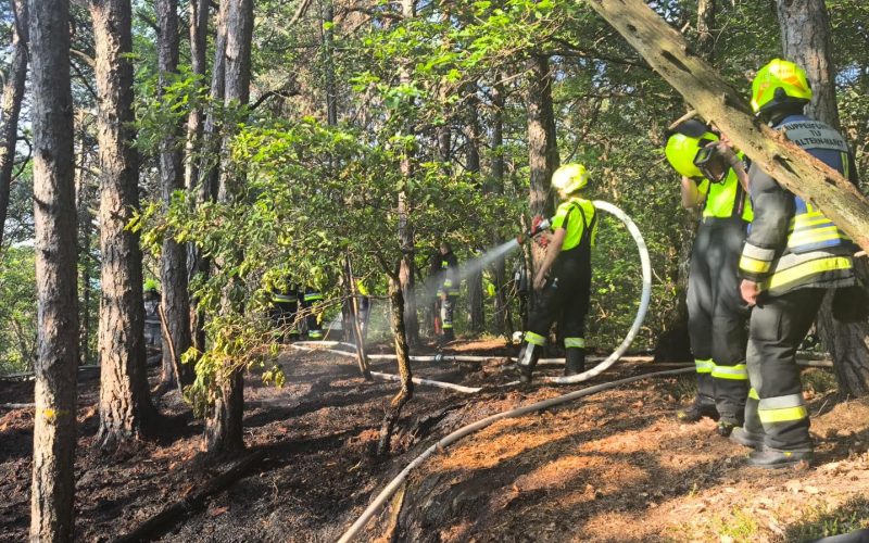 INCENDIO BOSCHIVO A CALDARO SPENTO DAI VIGILI DEL FUOCO