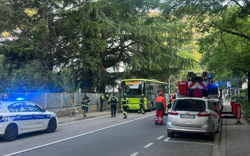 BOLZANO, RAMO DI CEDRO COLPISCE UN BUS E UN PASSANTE