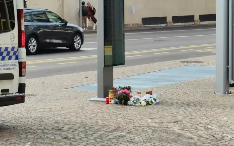 BIMBA DI 3 ANNI MORTA DAVANTI AL WALTHERPARK DI BOLZANO, EMERGONO LE RESPONSABILITA’ DEL CONDUCENTE DEL CAMIONCINO INVESTITORE