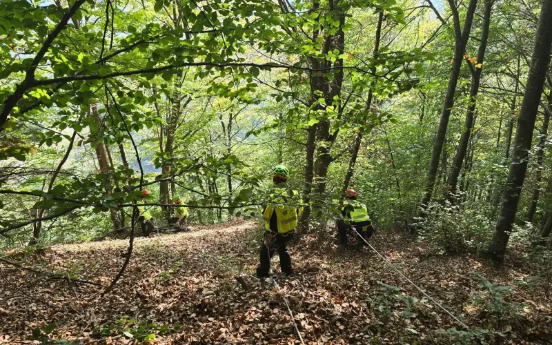 VALLE DEI LAGHI, RITROVATO VIVO FUNGAIOLO DI 76 ANNI DISPERSO DOPO NOTTE ALL’ADDIACCIO